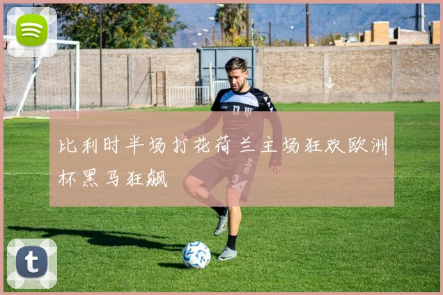 比利时半场打花荷兰主场狂欢欧洲杯黑马狂飙