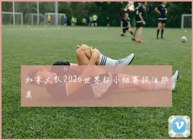 加拿大队2026世界杯小组赛投注热度