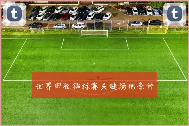 世界田径锦标赛关键场地条件