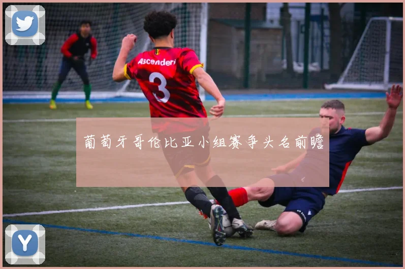 葡萄牙哥伦比亚小组赛争头名前瞻