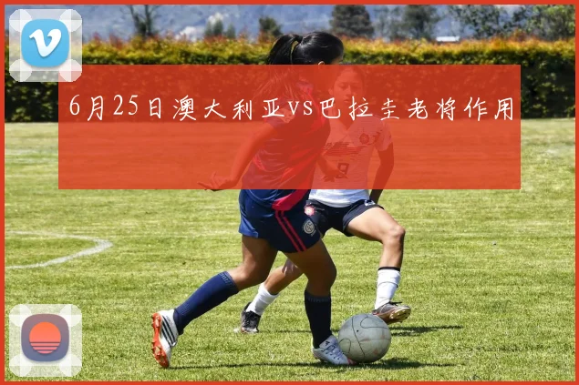 6月25日澳大利亚vs巴拉圭老将作用